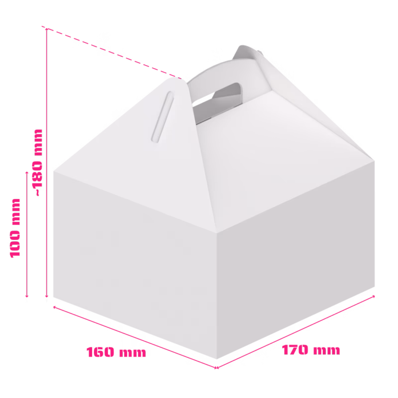 box z uchwytem - v6